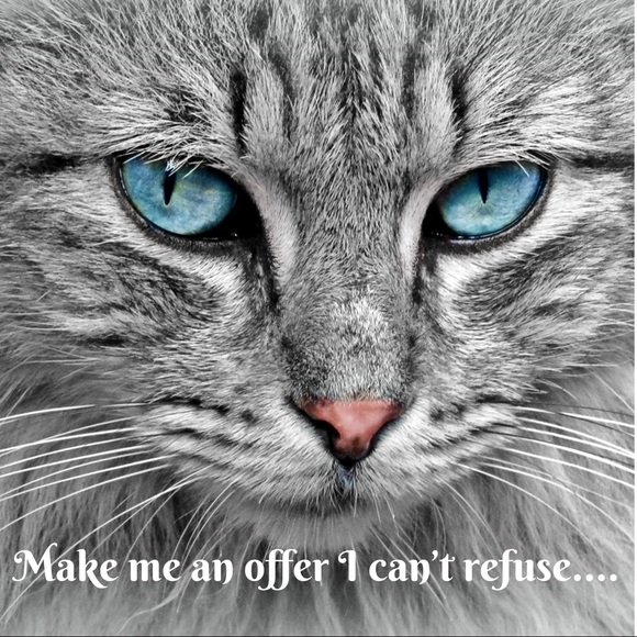 Make me an offer I can’t refuse! - Picture 1 of 1